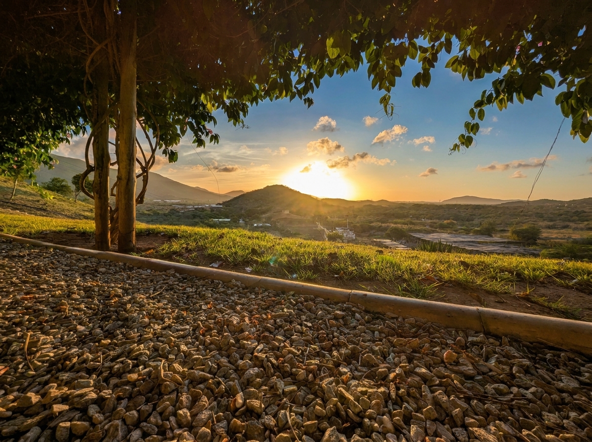 Paisaje de Tacarigua